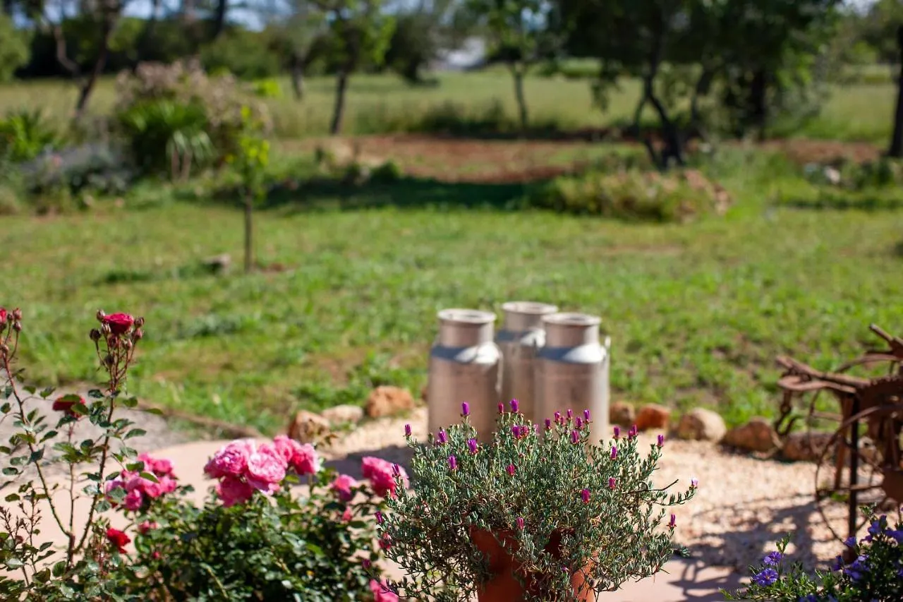 Agroturismo Casa Morna Ibiza Sant Carles de Peralta Alloggio per agriturismo