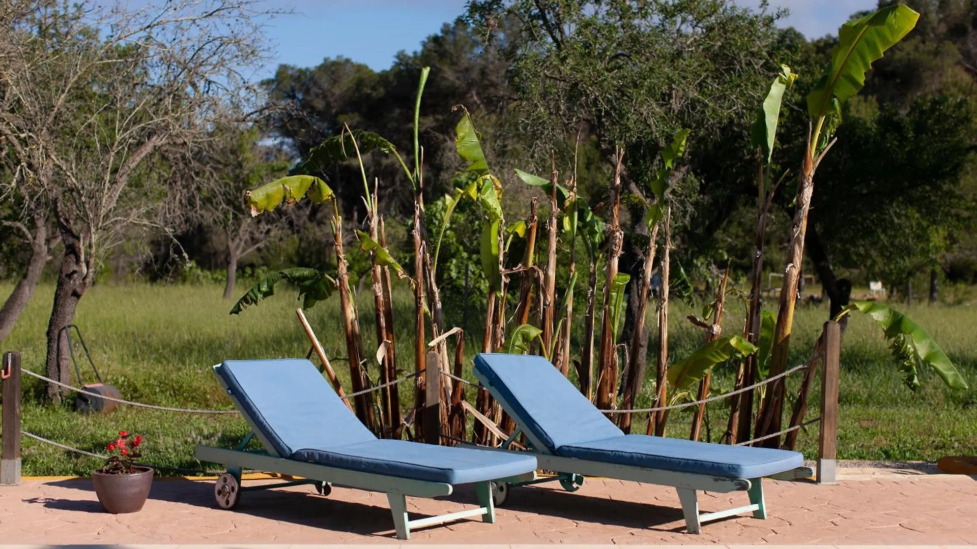 Alloggio per agriturismo Agroturismo Casa Morna Ibiza Sant Carles de Peralta