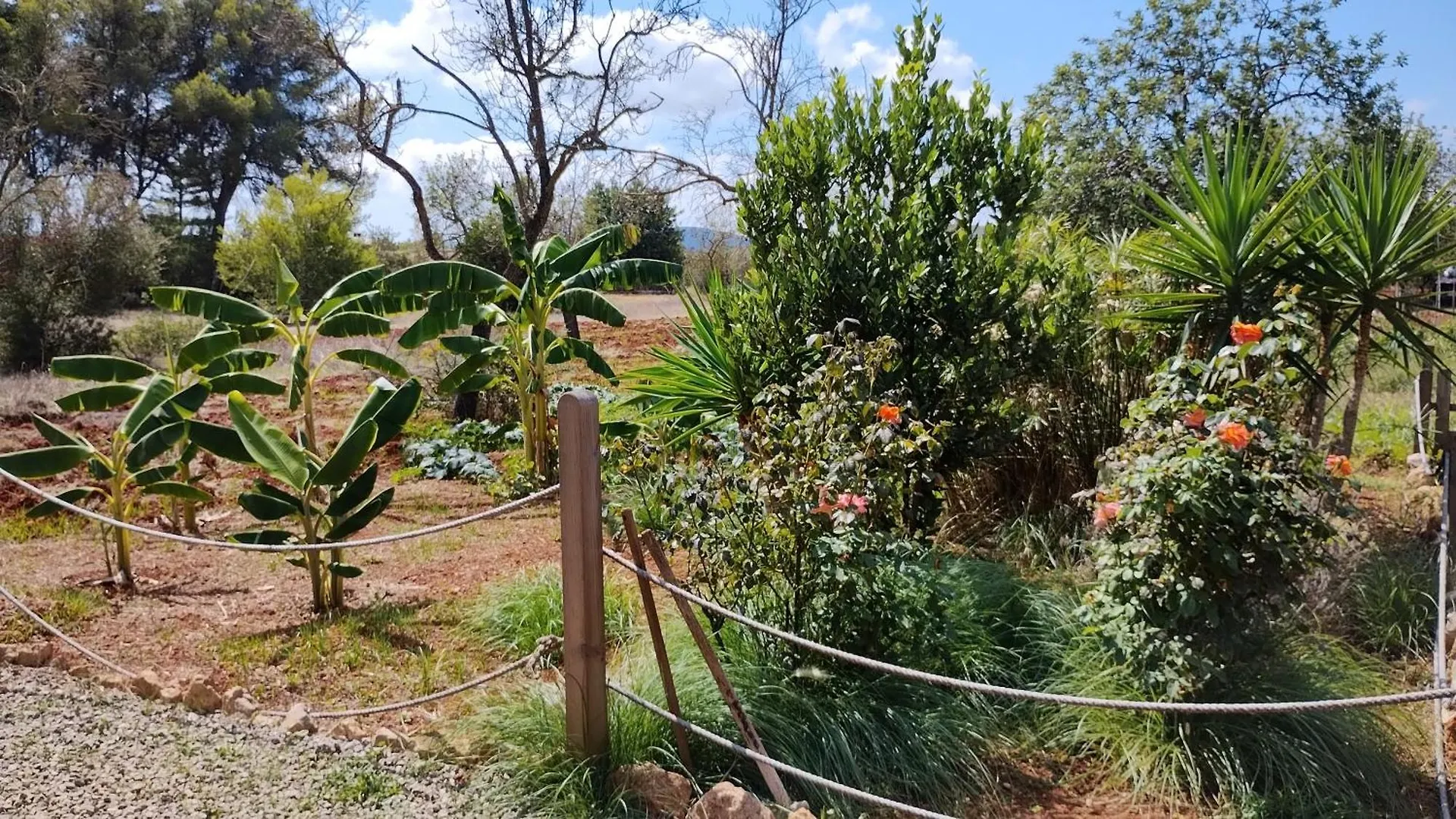 Agroturismo Casa Morna Ibiza Sant Carles de Peralta Spagna